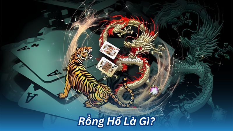 Những kiểu cược cơ bản của tựa game rồng hổ Bsport